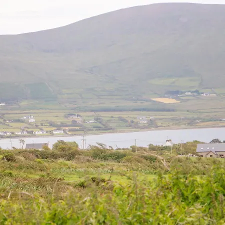 Birds 2 Valentia Island